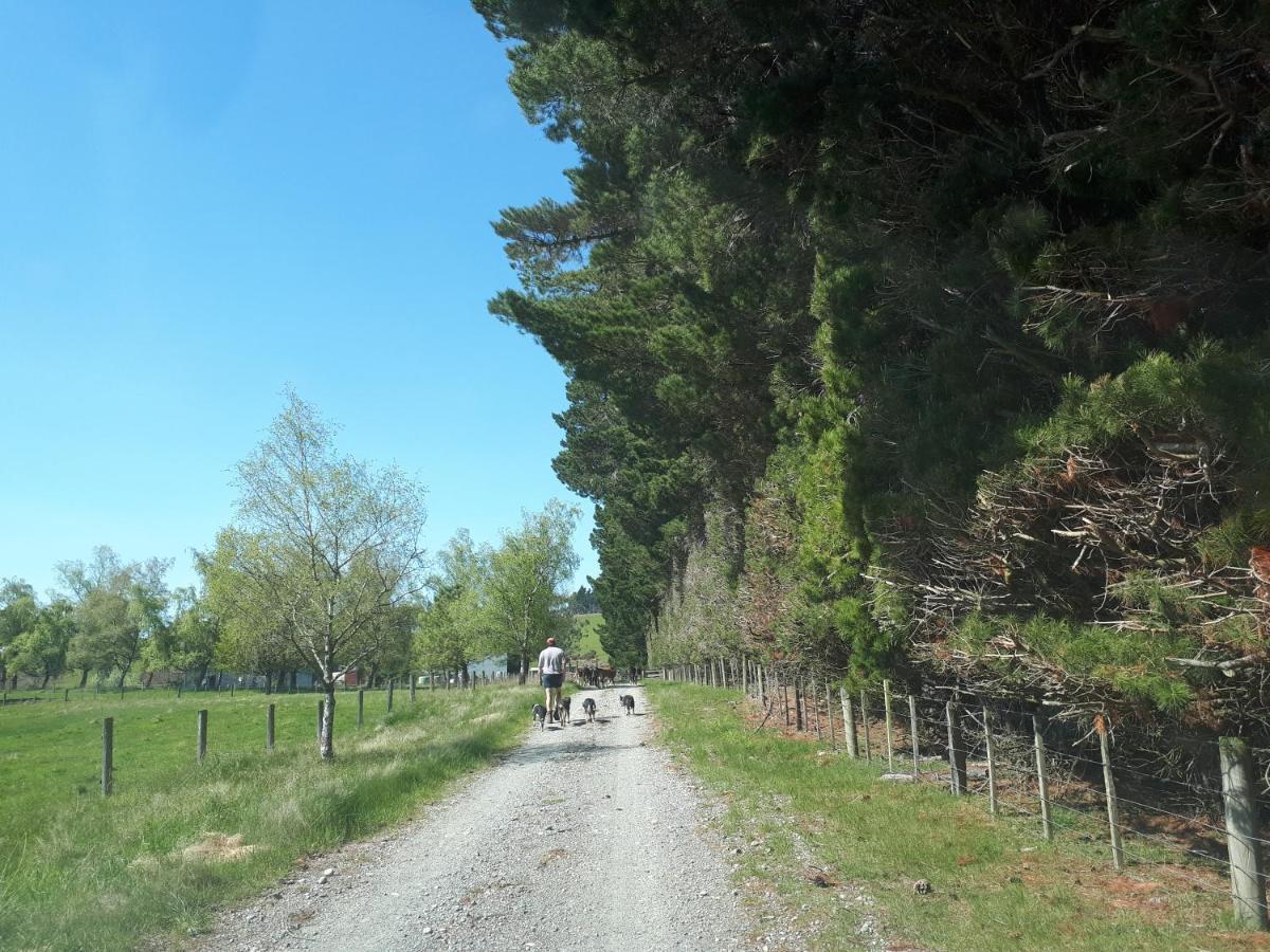 Te Anau Farm Cottage 外观 照片